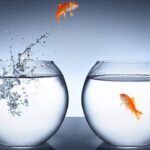 Feng shui fish tank | फेंगशुई मछली