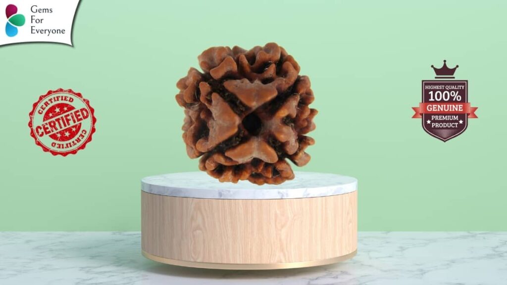 चार मुखी रुद्राक्ष संपूर्ण जानकारी