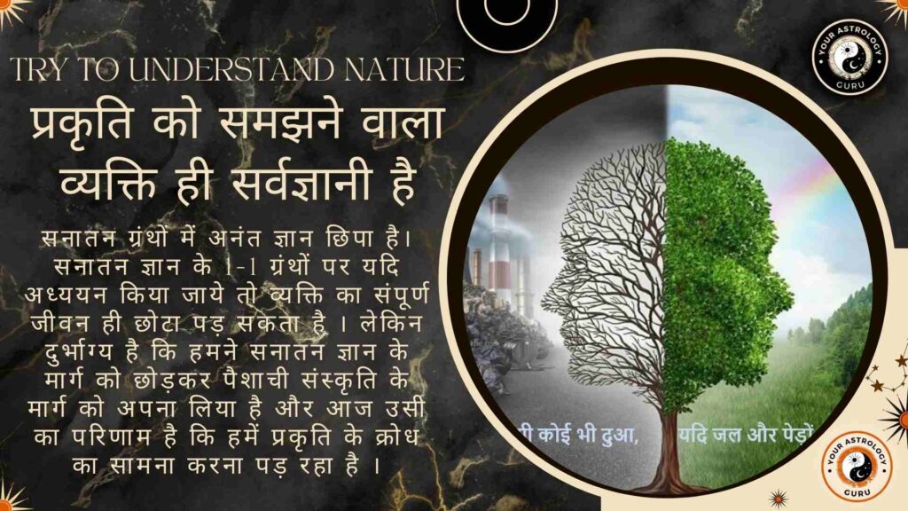 प्रकृति को समझने वाला व्यक्ति ही सर्वज्ञानी है