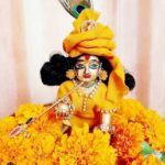 Cute Laddu Gopal Images : Laddu Gopal Photos HD Wallpapers