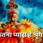 कितना प्यारा है श्रृंगार की तेरी लेउ नज़र उतार (Kitna Pyara Hai Singar)